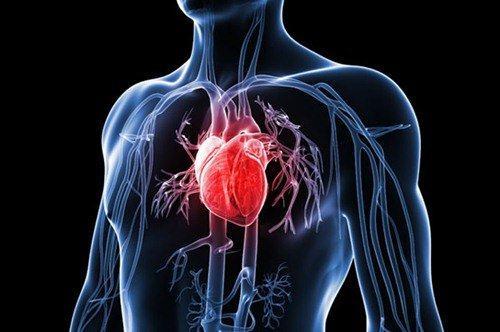A EPIDEMIA CARDIOVASCULAR A EPIDEMIA CARDIOVASCULAR